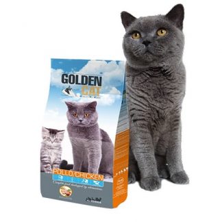 COMIDA GATOS GOLDEN CAT POLLO 2KG S/8
