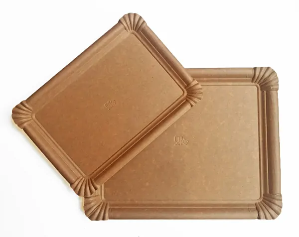 bandeja-biodegr-kraft-25x34cm-50u-c/7