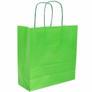 BOLSA PAPEL VERDE 22+9X23 25U. C/10 NT