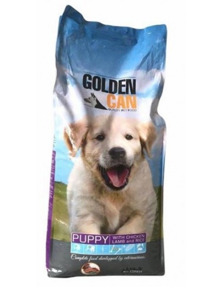 golden-can-puppy-20-kg